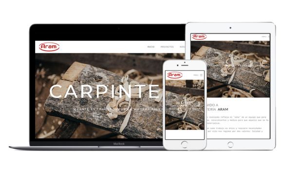 web-aram-ExprimeCreatividad